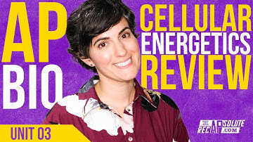 AP Bio Unit 3 Cellulaire Energetica Herhaling - UPDATE 2025!