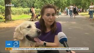 Забег в столице: Анастасия Даугуле вышла на пробежку с собакой