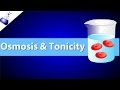Osmosis and tonicity