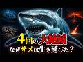 【ゆっくり解説】4回の大絶滅を生き延びたサメ|強すぎる生存力の正体