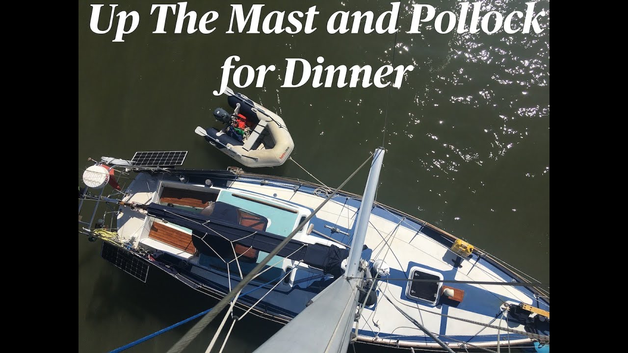 Up the MAST and Pollock for dinner, Sailing Rebecca Episode 11
