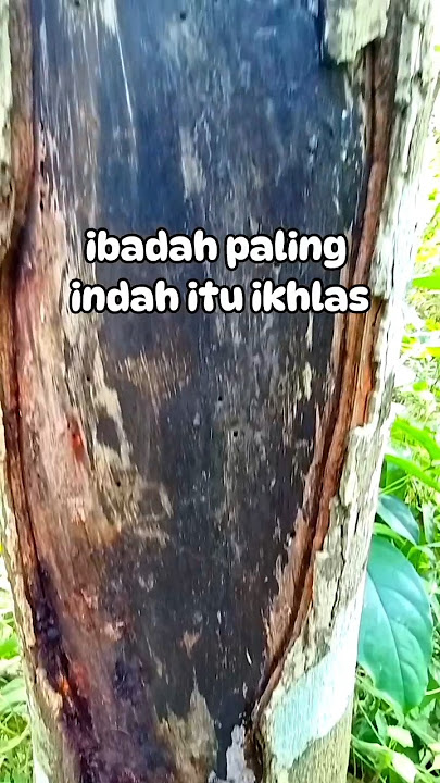 Harta yang paling berharga adalah iman #quotes #motivasidiri #katabijak #nasehat #motivation