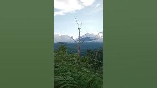 Worship song YOU'RE MY HIDING PLACE by Selah-Dina Rizk