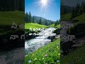 please like share and subscribe #gangotri movie songs 🩷🎶#ganga nijanga🩷🎶#songs #ytshorts