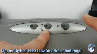 Epson Stylus Photo R220: How to Print a Nozzle Check Test Page