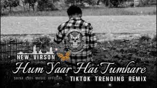🦋 Hum Yaar Hai Tumhare ( New Virson ) TikTok Viral Lofi Remix