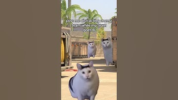 Daily CSGO Memes #csgo #cs2 #fyp #csgofunny #csgomoments #cs2meme