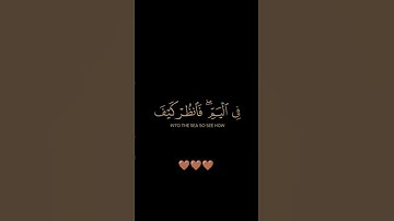 سورة القصص / القارئ الشيخ ماهر المعيقلي / تلاوة خاشعة تريح سمعك
