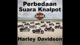 Perbedaan Suara Motor Harley Davidson - Sound Check #perbedaan #moge #harley