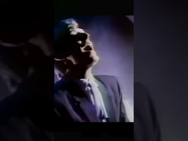 Steve Winwood - While You See A Chance (Music Video)
