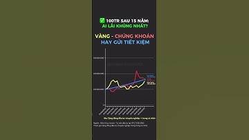 Đầu tư 100 triệu sau 15 năm, Vàng Chứng Khoán hay gửi tiết kiệm lãi cao nhất