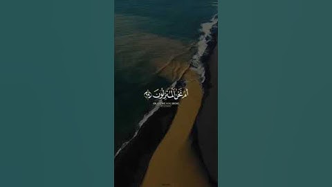 #fyp #quran سورة الواقعة |شريف مصطفى
