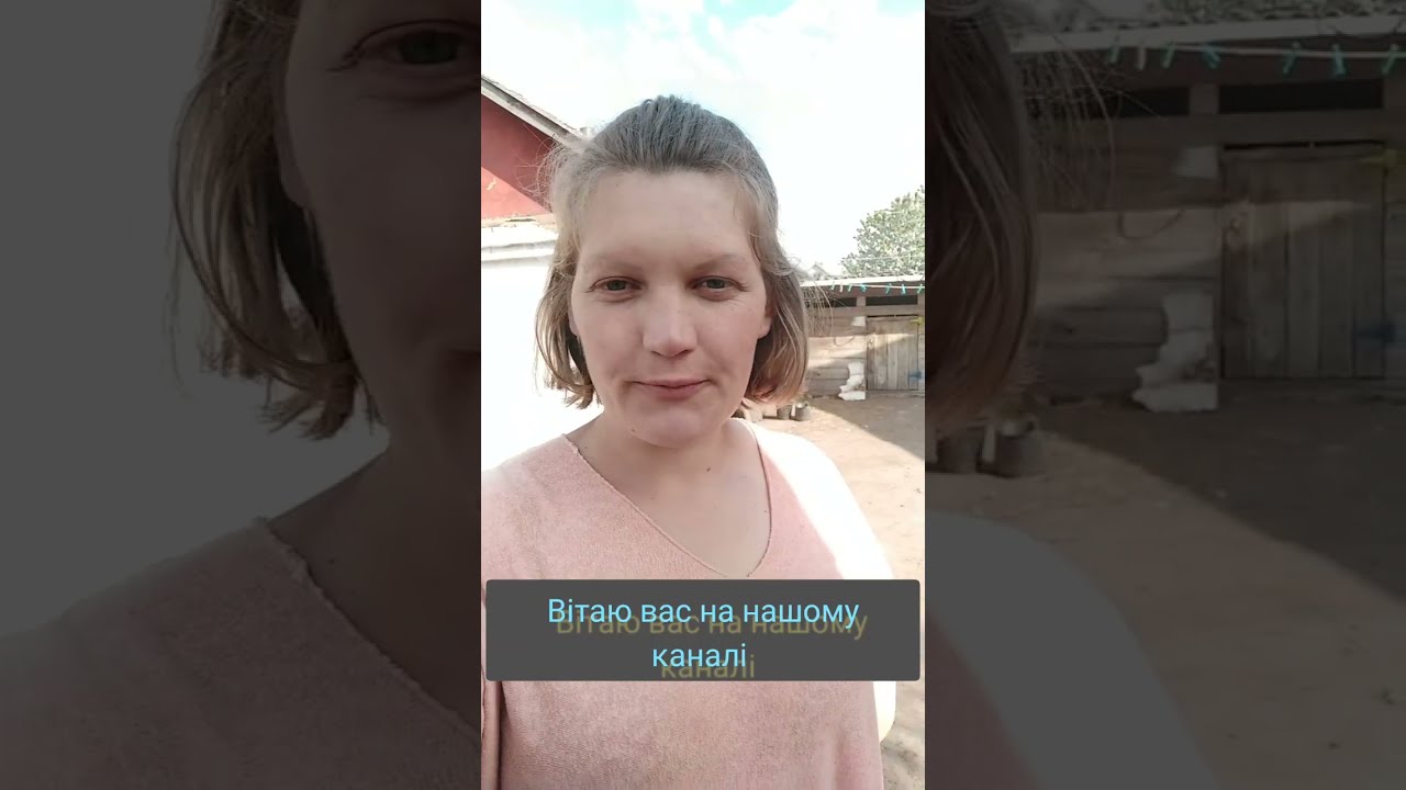 Город, прибирання, будні на господарстві