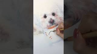 Watercolor - Custom Pet Portrait Finished