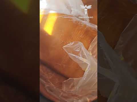 Feeding your bees