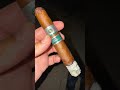 Rocky Patel 20th anniversary, good stick.