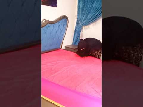 تنظيف اكسبلور روتيني  تنظيف اكسبلور روتيني