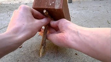 How To Make a Two Stick Dead Fall