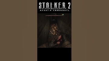 Developers Actually Added This To Scare Gamers😱 | Stalker 2