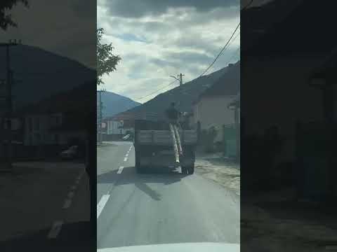 Video: Cum Este Transportat Lemnul