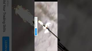 🦌🦌 Deer Hunting Shooting Games screenshot 3