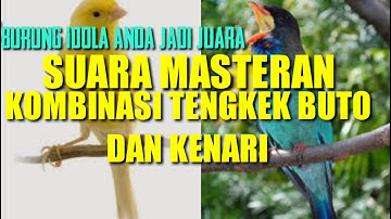MASTERAN TENGKEK BUTO || VS KENARI | SUARA JERNIH || TERBARU || (2021).