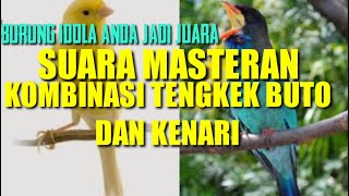 MASTERAN TENGKEK BUTO || VS KENARI | SUARA JERNIH || TERBARU || (2021).'