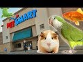 EXPLORING PETSMART ! ANIMAL FRIENDS EVERYWHERE!