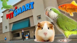 EXPLORING PETSMART ! ANIMAL FRIENDS EVERYWHERE! screenshot 3