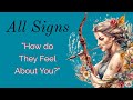 All signs   how do they feel about you    what you need to know right now