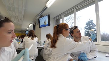 Medical School Facilities Tour