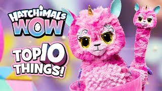 The Top 10 🎉BEST 🎉Things to do with Your Hatchimals Wow!