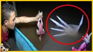 15 Momentos Assustadores De Pesca Capturados Na Câmera