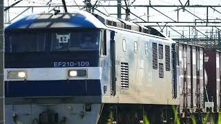 2017/08/17 西浜松待避線から下る 5091列車 EF210-109[吹]牽引