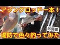 アジングロッド一本持って外房の堤防で色々釣ってみた!イシモチ、シーバス、サヨリ、ヒラツメガニ 大原港・太東港