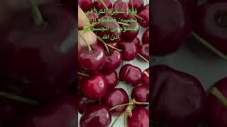 #shortsvideo #الكرز##فوائد  شجرة الكرز لي إزالة سموم من جسم