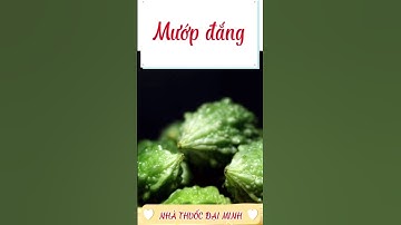 4 Loại Rau Mùa Hè Giúp Giải Nhiệt Cho Gan #dsdaiminh #dsngocminh #health #shorts