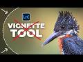 Stop Using the Vignette Tool in Lightroom (What I Do Instead)