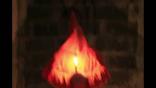 Anarcoterror - End Time Chronicle