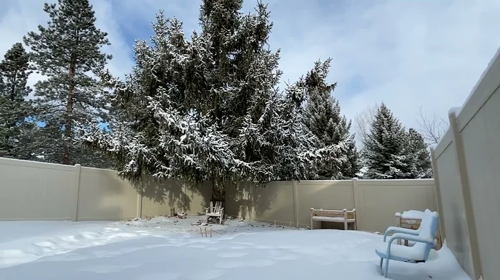 Viewer Request - A Snowy Walk Around My Yard!