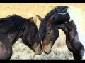 Spanish Guitar Best Hits Vol.2 Part 2