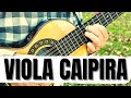 🔴 O SOM DA ROÇA - Viola Caipira /Sertanejo Raiz . Mix de Modas Boas pra quem curte a música caipira