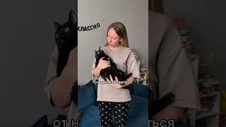 🌿 Артикул на WB на мальт-пасту с натуральным составом #WW288030 (копируй с буквами)