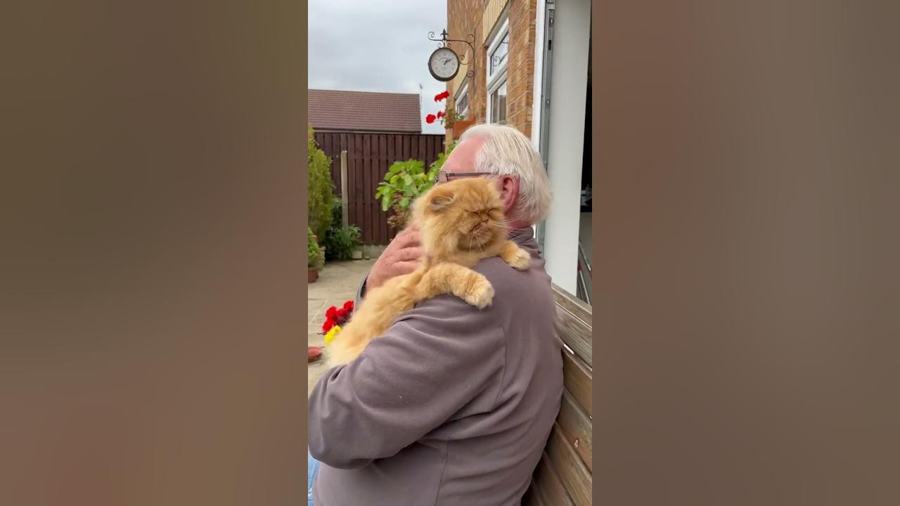 Always Waiting For Catdad YouTube always-waiting-for-catdad-youtube