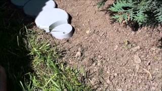 Bio Rasenkante Aus Kunststoff, Raseneinfassung, Beetumrandung, Mähkante Neuheit