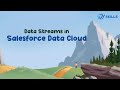 Data Streams in Salesforce Data Cloud