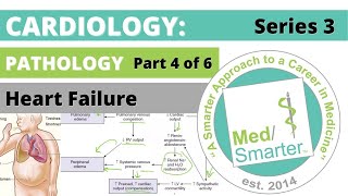 USMLE Step 1 | Cardiac: Pathology | MedSmarter | S3 Part 4 of 6 | Heart Failure