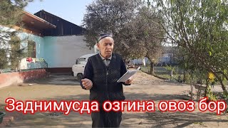 Заднимусда озгина овоз бор..