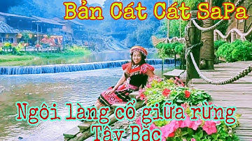 KÍ SỰ SAPA F8|Bản Cát Cát ở Sapa - Ngôi làng cổ đẹp nhất rừng Tây Bắc