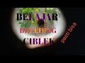 Cara Mudah Mempersiapkan Calon Indukan Ciblek Untuk Di Breeding Mp3 - Mp4 Download